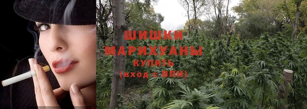 прущий лед Богородск