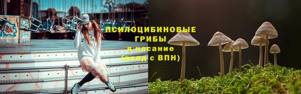 мескалин Тавда